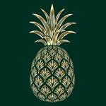 PINA Resto Bar Sushi & Ramen logo