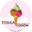 Stolica Lodów Tradycyjnych - Słodkie Zacisze Cafe - Zamkowa 8 logo