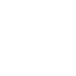 PLACEK WOLNICA NAPOLETANA logo