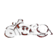 Bar „Easy Rider” logo