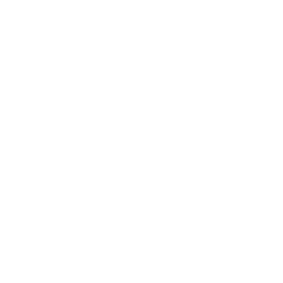 Vanilla Sky logo