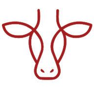 Krowa Na Szlaku logo