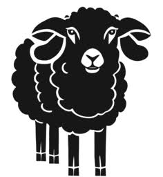 Kawiarnia Czarna Owca logo