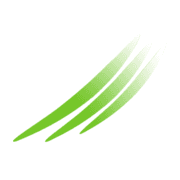 Box Kebab logo