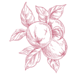 Doprawione Jabłkiem według Zwierzchowskiej logo