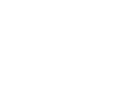 La Vida Lokal logo