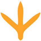 Kura Domowa logo