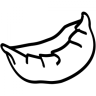 Restauracja tybetańska Tashi Momo logo