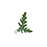 PINSA - Saska Kępa logo