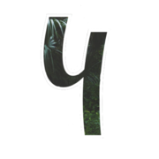 Yam Yam logo
