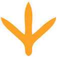 Restauracja Kura Domowa logo