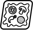 Express Pizza Żerniki logo