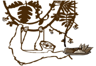 Bar Leniwiec logo