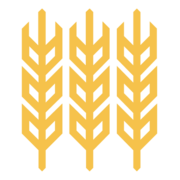 Mamma Mia Zielona Pietruszka logo