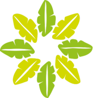 Restauracja Palmiarnia logo