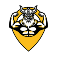 Viking Point logo