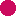 HANAMI 花見 Szczecin logo