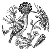 Restauracja Gardenbistro Sulechów logo